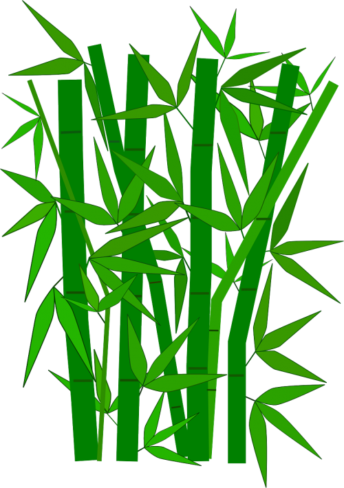 Bambukas, Žalias, Lapai, Augalas, Medžiai, Vandens Augalas, Hidrofitas, Nemokama Vektorinė Grafika