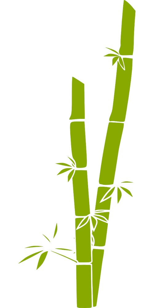 Bambukas, Gamta, Medis, Augalas, Žalias, Nemokama Vektorinė Grafika