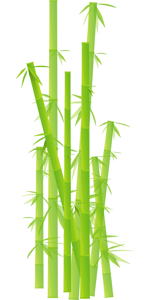 Bambukas, Žolė, Džiunglės, Palikti, Augalas, Stick, Nemokama Vektorinė Grafika