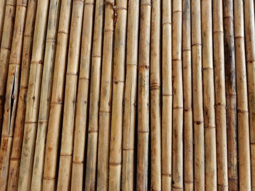 Bambukas, Struktūra, Tekstūra, Bambuko Strypai, Bambukai, Bambuko Mediena, Strypai, Natūrali Medžiaga, Fonas