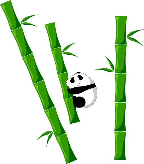 bamboo panda bear