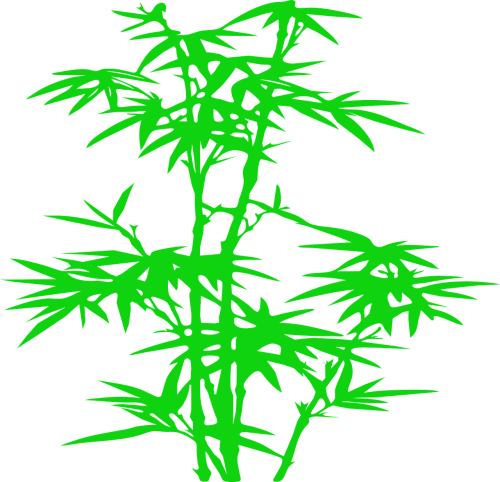 Bambukas, Augalas, Lapai, Žalias, Nemokama Vektorinė Grafika
