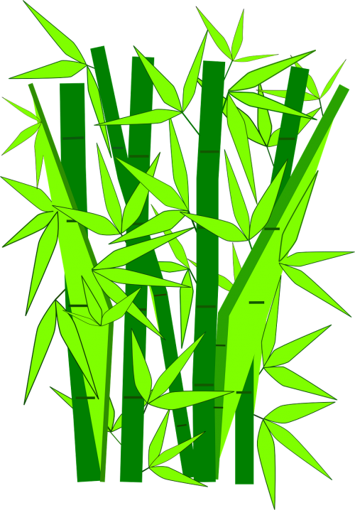 Bambukas, Augalai, Žalias, Japanese, Japonija, Sodas, Botanikos, Nemokama Vektorinė Grafika