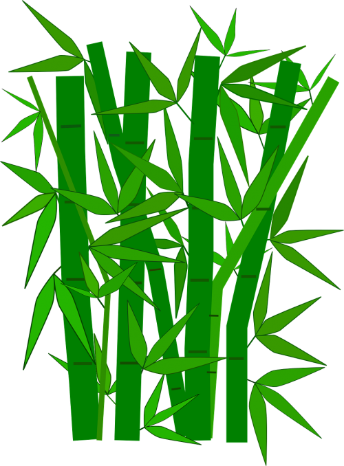 Bambukas, Miškas, Augalas, Žalias, Lapai, Filialai, Sodas, Nemokama Vektorinė Grafika