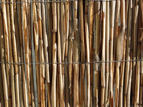 Bambukas, Tekstūra, Modelis, Natūrali Medžiaga, Struktūra