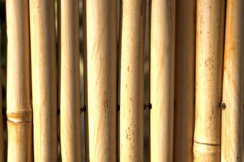 Bambukas,  Tvora,  Fonas,  Japonija,  Kinija,  Atimti,  Toli Į Rytus,  Dizainas,  Užuolaidos,  Bambuko Tvora Fone