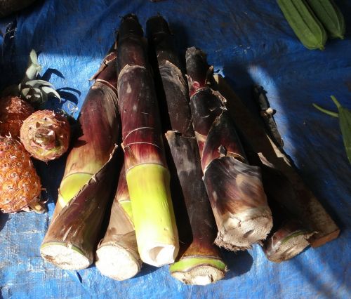 Bambuko Ūgliai, Bambukas, Daržovių, Maistas, Stalas, Goa, Indija