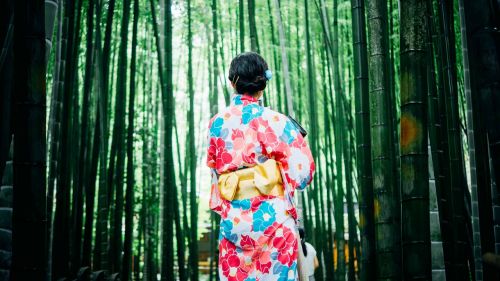 Bambuko Medžiai, Mergaitė, Kimono, Lauke, Medžiai, Moteris