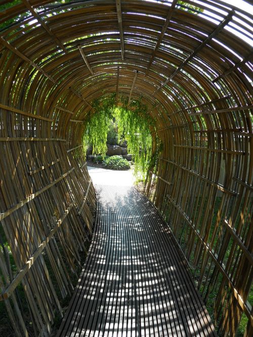 Bambuko Tunelis, Takas, Arka, Dekoratyvinis, Ramus, Bambukas, Pėsčiųjų Takas, Sodas, Parkas, Tunelis, Architektūra, Rėmas