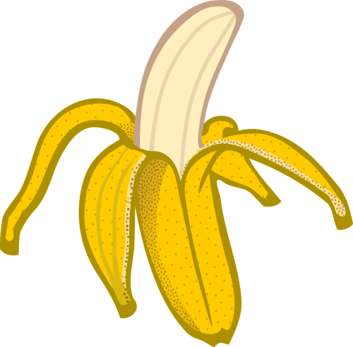 Bananas, Švietimas, Vaisiai, Mokykla, Nemokama Vektorinė Grafika