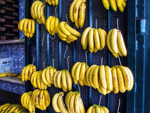 Bananas, Vaisiai, Veislyniai, Bananai, Geltona, Mėlynas, Kabliukai