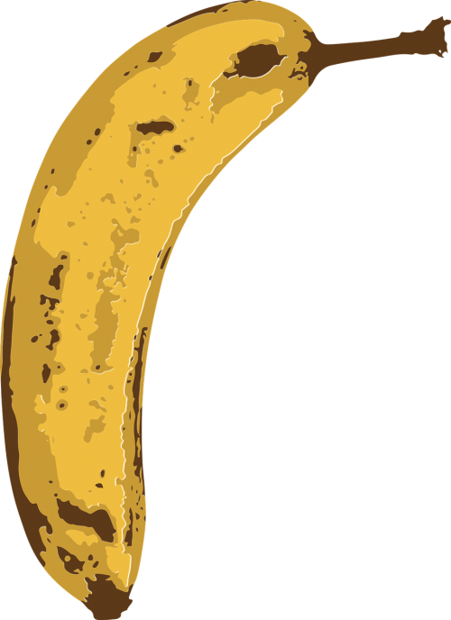 Bananas, Vaisiai, Atogrąžų, Nemokama Vektorinė Grafika