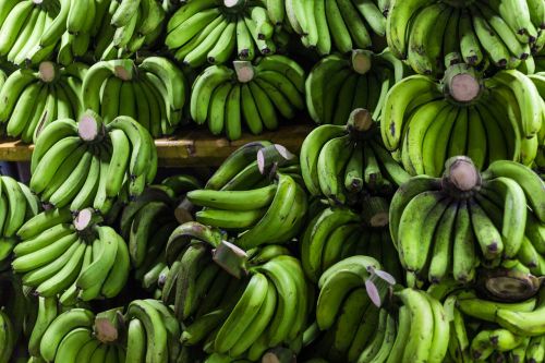 Bananas,  Desertinis Bananas,  Vaisiai,  Maistas,  Krūva,  Be Honoraro Mokesčio