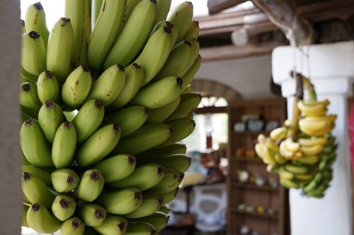Bananas,  Vaisiai,  Augti,  Turgus,  Maistas,  Atogrąžų,  Be Honoraro Mokesčio