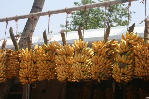 Bananų Krūva, Indijos Bananai, Bananas, Tradicinis, Prinokę, Krūva, Indijos, Turgus, Geltona, Skanus, Vaisiai, Maistas, Saldus, Mityba