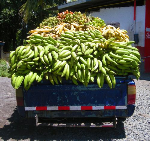 Bananas,  Plantakas,  Sunkvežimis,  Panama,  Maistas,  Vaisiai,  Geltona,  Žalias,  Toyota,  Bananų Pristatymo Sunkvežimis,  Panama