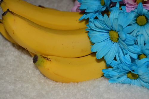 Vaisiai,  Gėlė,  Spalvinga,  Bananų Vaisių Daisy Gėlės