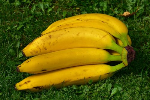 Bananai, Vaisiai, Vaisiai, Sveikas, Geltona, Banano Žievė, Prinokę, Gamta, Frisch, Uždaryti