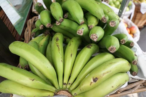 Bananai, Žalias, Valgyti, Sveikas, Vitaminai, Vaisiai, Skanus, Bananinis Krūmas, Uždaryti, Bananų Augalas