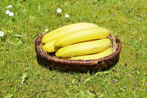 Bananai, Vaisiai, Vaisiai, Maistas, Geltona, Sveikas, Gamta, Vitaminai, Egzotiškas, Augalas