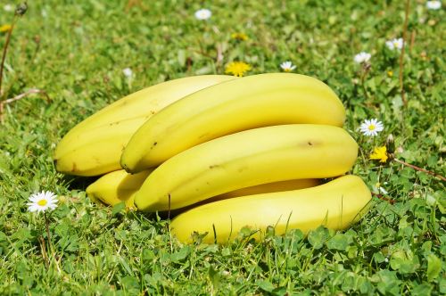 Bananai, Vaisiai, Vaisiai, Maistas, Geltona, Sveikas, Gamta, Vitaminai, Egzotiškas, Augalas