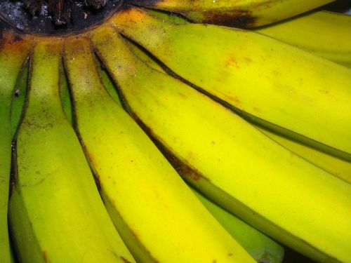 Bananai, Vaisiai, Žalias, Geltona, Tundun