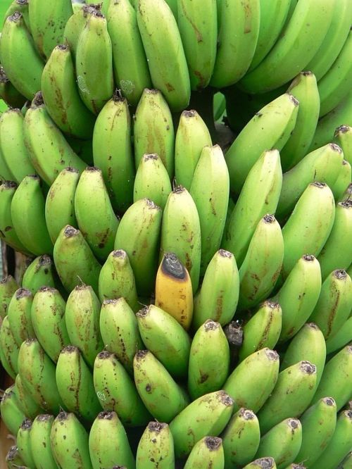 Bananai, Geltona, Žalias, Bananas, Vaisiai, Augalai, Flora