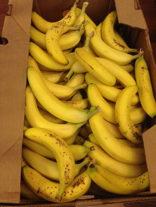 Bananai, Vaisiai, Plantakas