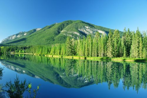 Banff, Nacionalinis, Parkas, A, Kanada, Kraštovaizdis, Alberta, Ežeras, Peizažas, Taikus, Atspindys, Kanados, Kalnas, Miškas