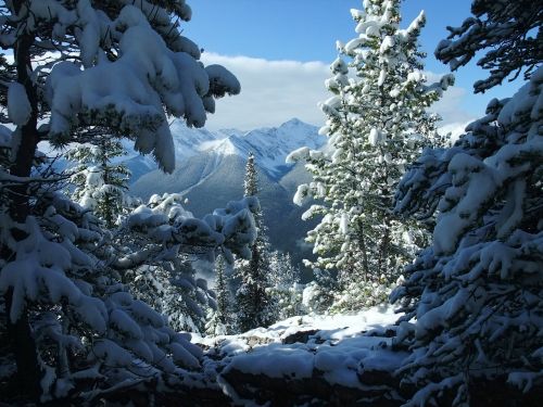 Banff, Kanada, Sniegas, Žiema, Balta, Žiemos Svajonė