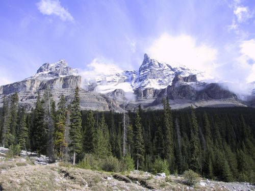 Banff, Kalnas, Kanada, Kraštovaizdis, Parkas, Gamta, Lauke, Kanados, Vaizdingas, Ledo Laukai, Didingas, Kelionė, Natūralus
