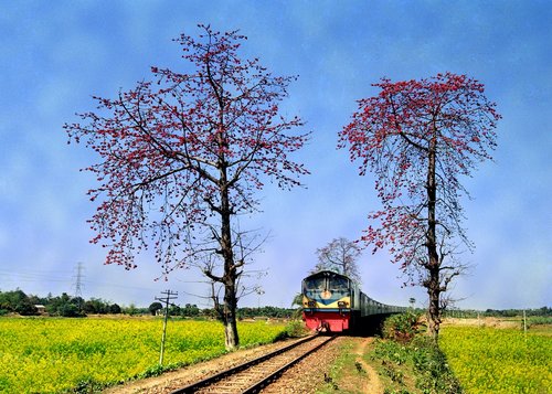 Bangladešas,  Traukinys,  Kraštovaizdis