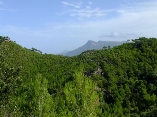 Banyalbufar, Maljorka, Tramuntana