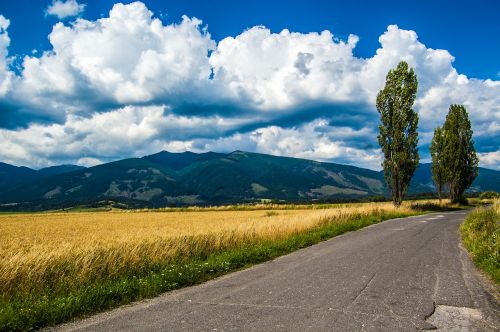 Baranai, Kalnai, Kelias, Medžiai, Laukas, Debesys, Dangus, Leto