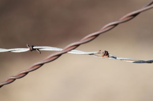 Šalis,  Kaimas,  Kaimiškas,  Metalas,  Užsegamas & Nbsp,  Viela,  Spygliuota Viela