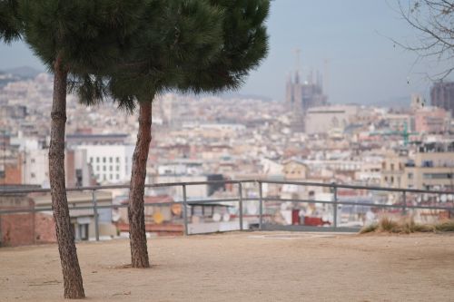 Barcelona, Sagrada Familia, Ispanija, Katalonija, Katedra, Miestas