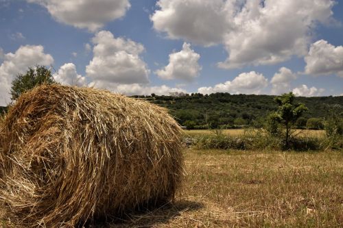 Bartsento, Apulijos Kaimas, Puglia, Apulia, Gamta