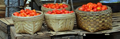 Krepšelis, Pomidorai, Turgus, Mianmaras, Burma