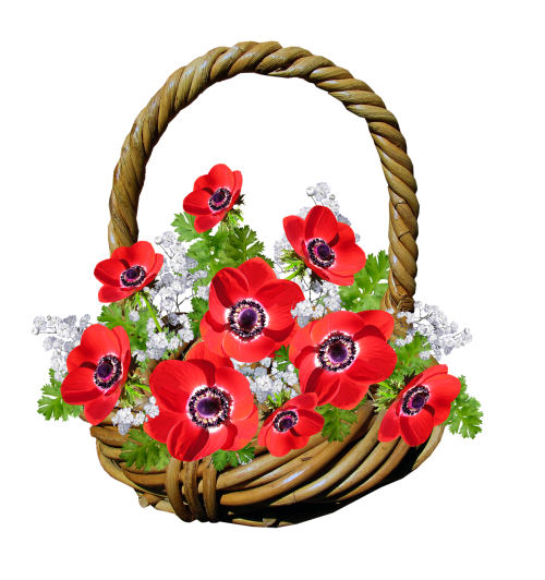 Krepšelis, Anemonis, Raudonos Gėlės, Dovanos
