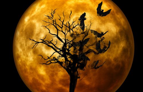 Šikšnosparnis, Naktis, Creepy, Tamsa, Mistinis, Niūrus, Mėnulio Šviesa, Baugus, Nuotaika, Atmosfera, Mįslingas, Baisu, Baimė, Halloween, Siaubas, Keista, Bauginantis