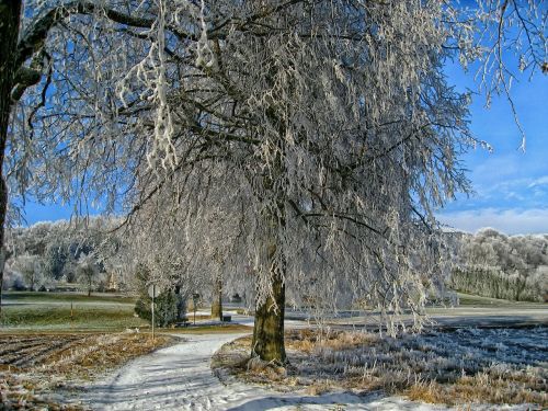 Bavarija, Vokietija, Sniegas, Žiema, Miškas, Medžiai, Kraštovaizdis, Vaizdingas, Hdr, Kelias, Laukai, Kaimas, Kaimas, Gamta, Lauke