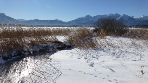 Bavarija, Allgäu, Ežeras, Mėlynas Dangus, Sniegas, Panorama