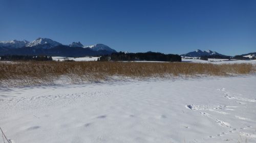 Bavarija, Allgäu, Ežeras, Mėlynas Dangus, Sniegas, Panorama