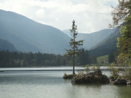 Bavarijos Miškas, Bavarija, Arbersee, Bergsee, Romantika, Kalnai, Vanduo