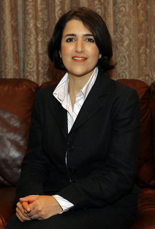 Bayan Sami Abdul Rahman, Kurdistanas, Regioninis, Vyriausybė, Atstovas, Politikė, Politika