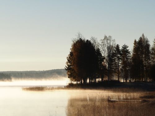 Papludimys, Mediena, Ežeras, Horizontas, Gamtos Nuotrauka, Kraštovaizdis, Miglotas, Vanduo, Gamta, Suomių