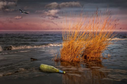 Papludimys, Jūra, Baltijos Jūra, Abendstimmung, Flotsam