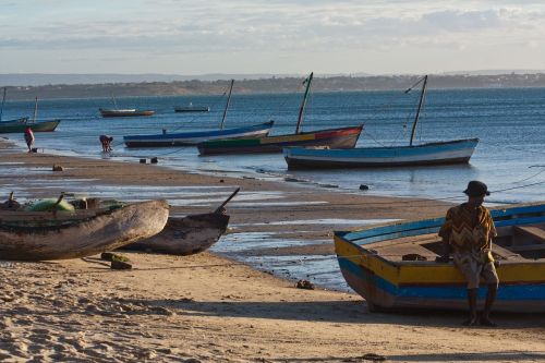 Papludimys, Valtys, Valtis, Madagaskaras
