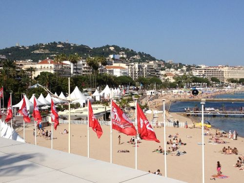 Papludimys, Cannes, Festivalis