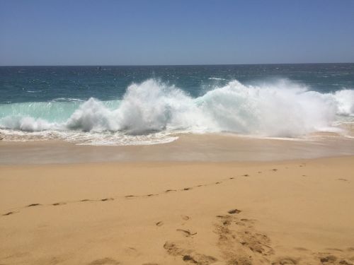 Papludimys, Cabo San Lucas, Meksika, Vandenynas, Kelionė, Kabo, Lucas, San, Jūra, Vanduo, Baja, Ramiojo Vandenyno Regionas, Pakrantė, Kranto, Turizmas